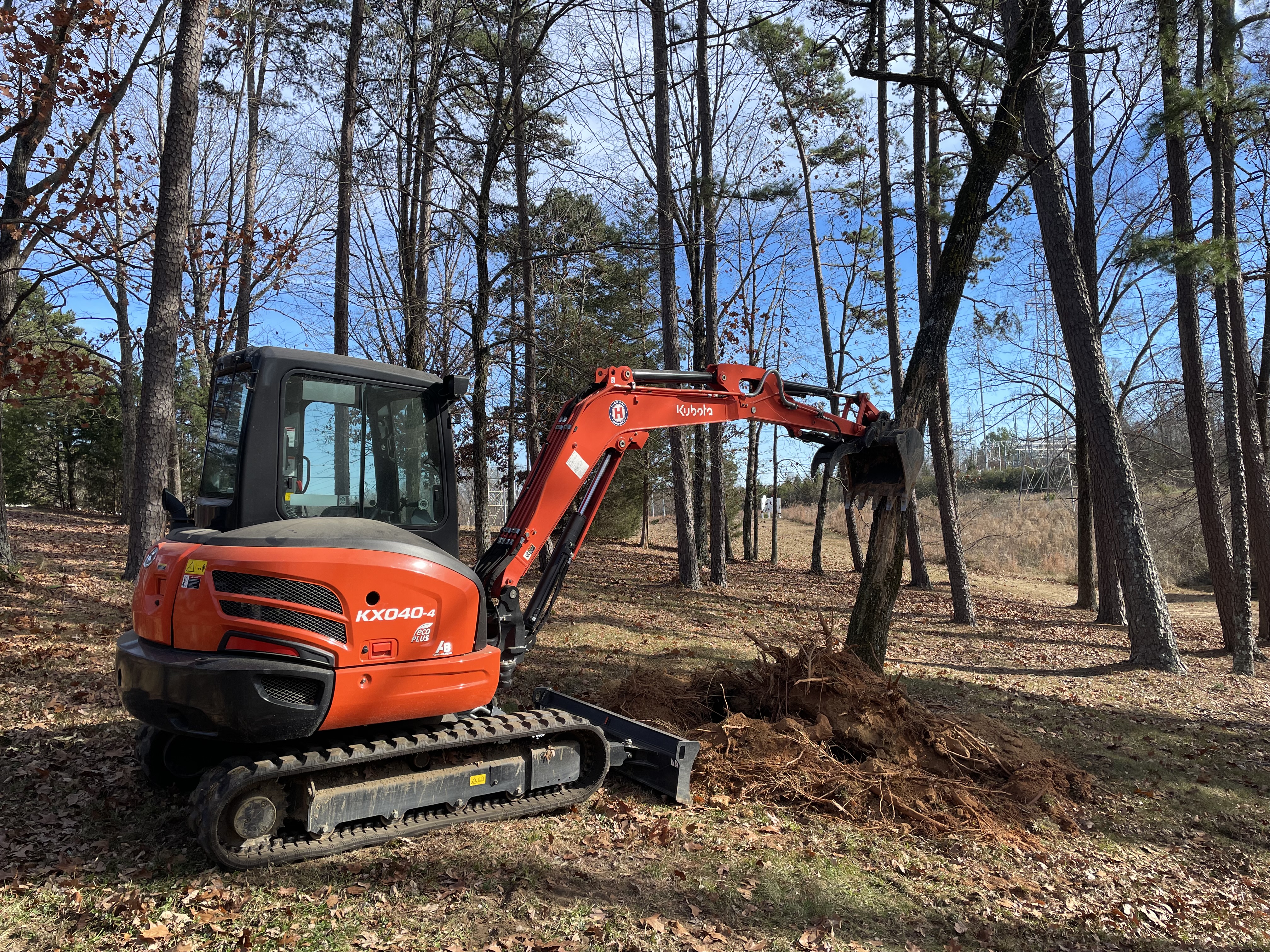 Tree removal including stump and rootball