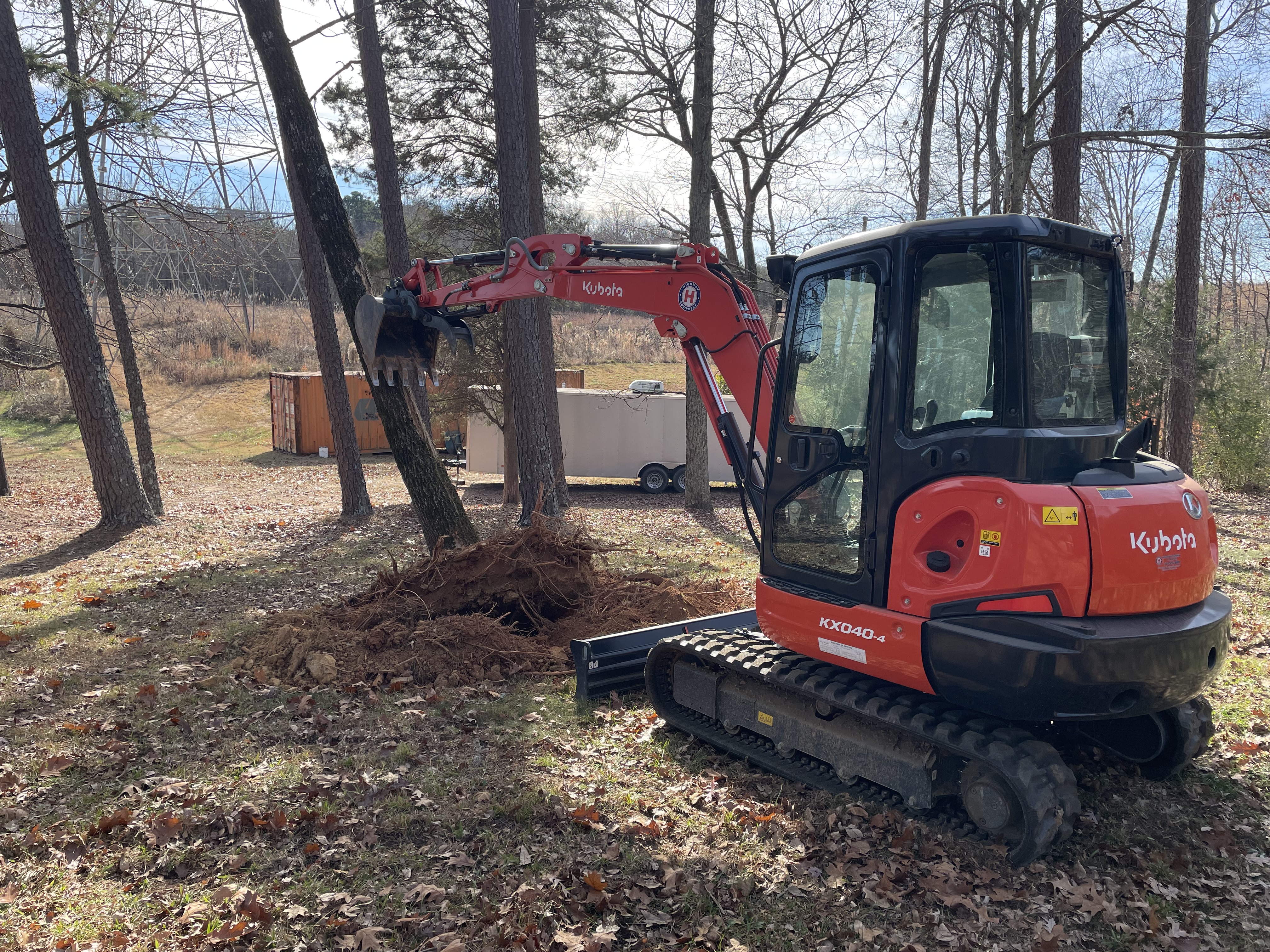 Small tree removal